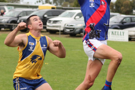 footy-38-1714528799.jpg