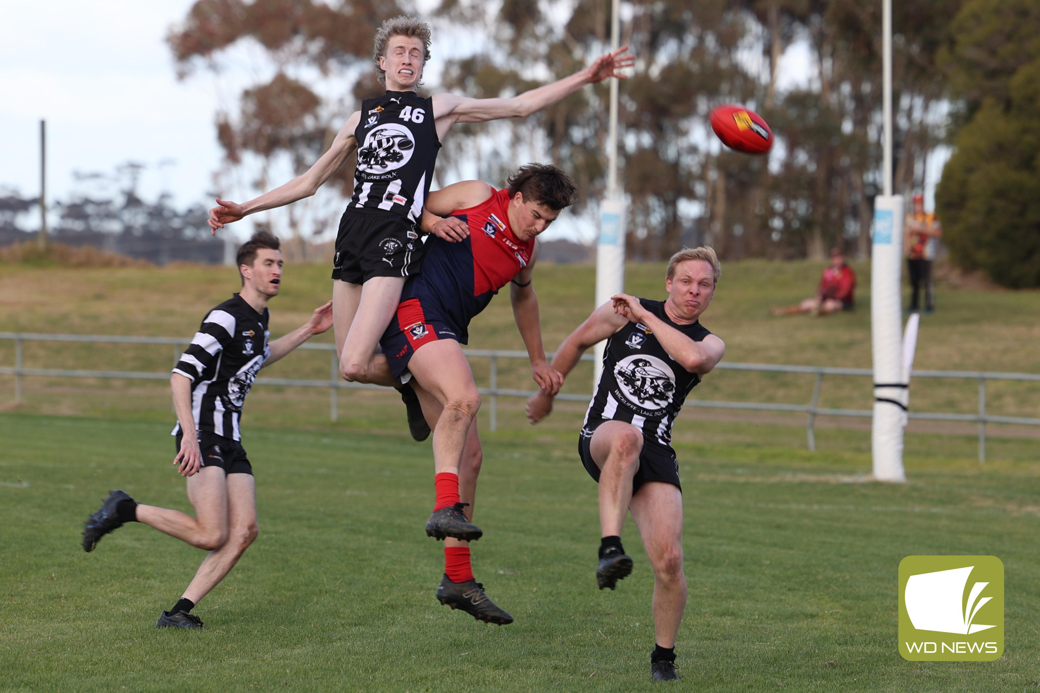 footy-4-1723687270.jpg