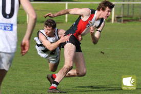 footy-95-1721271962.jpg