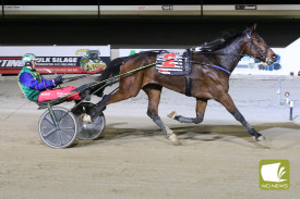 harness-racing—-race-1.jpg
