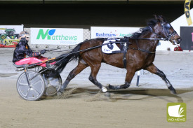 Race 5 winner Aldebaran Anton driven by Jackie Barker.