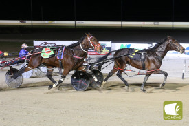Race 6 winner Keayang Hollywood driven by Jason Lee.
