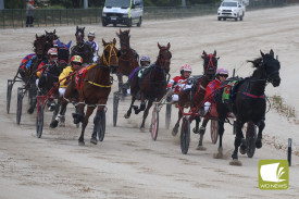 harness-racing-terang-4.jpg