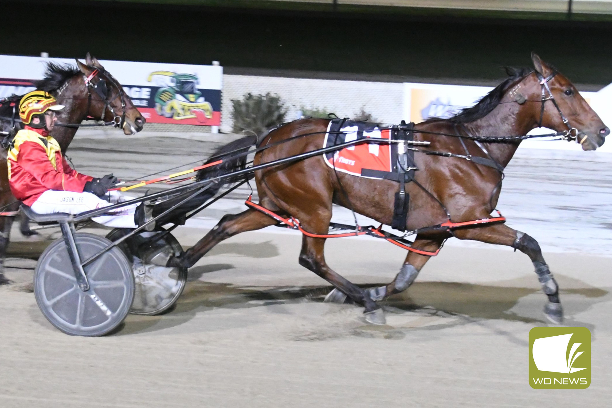 Winner of race 4, the WDNews Publications Pace, Keayang Tokyo (photo courtesy of Claire Weston Photography).