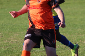 lions-11.jpg