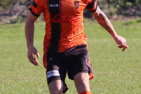 lions-4-1756183245.jpg