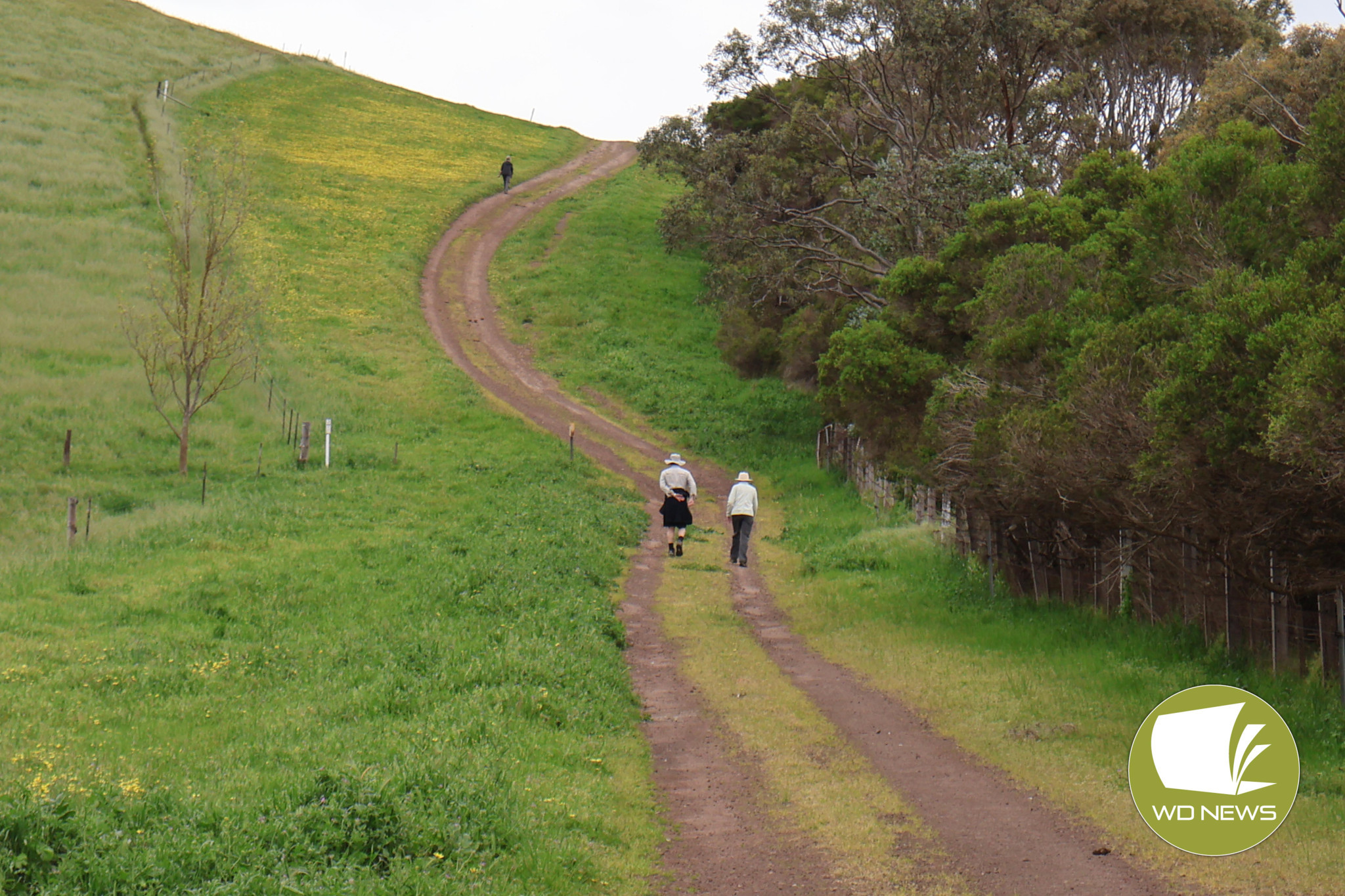 To the top: More than 70 walkers took part in the event, which helped to raise funds for the Mortlake Lions Club.