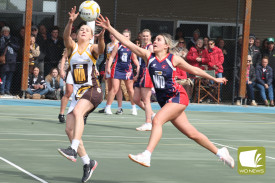 lismore-derrinallum-netball-10.jpg