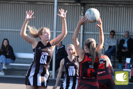 netball—-camperdown-v-cobden-10.jpg