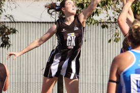netball—-camperdown-v-hamilton-1.jpg