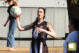 netball—-camperdown-v-hamilton-8.jpg