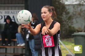 netball—-camperdown-v-warrnambool-5.jpg