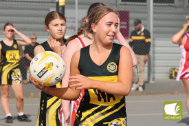 netball—-caramut-v-tigers-7-1746596271.jpg