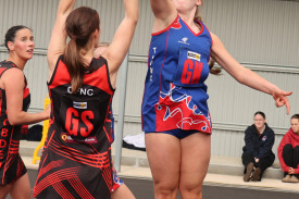 netball—-cobden-v-terang-mortlake-10.jpg