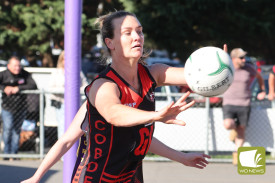 netball—-port-fairy-v-cobden-1.jpg