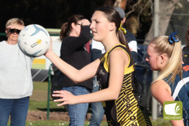 netball—-simpson-v-idk-3.jpg