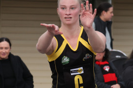 netball—-simpson-v-someone-1.jpg