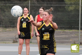 netball—-simpson-v-someone-4.jpg