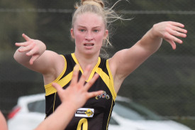 netball—-simpson-v-someone-5.jpg