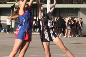 netball—-terang-mortlake-v-camperdown-6.jpg