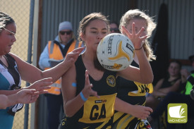 netball—-woorndoo-mortlake-v-pumas-13.jpg