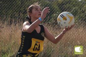 netball—-woorndoo-mortlake-v-pumas-16.jpg