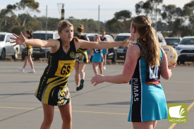 netball—-woorndoo-mortlake-v-pumas-2.jpg