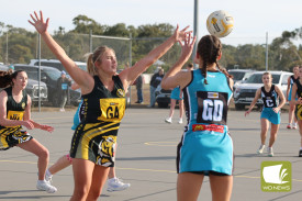 netball—-woorndoo-mortlake-v-pumas-3.jpg