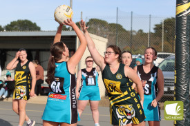 netball—-woorndoo-mortlake-v-pumas-8.jpg