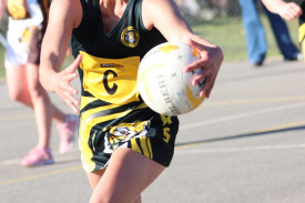 netball-1-1724810730.jpg