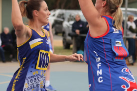 netball-10-1714528852.jpg