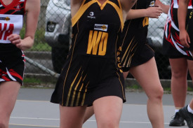 netball-16-1718082772.jpg