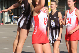 netball-17-1717033977.jpg
