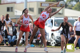 netball-18-1717033982.jpg