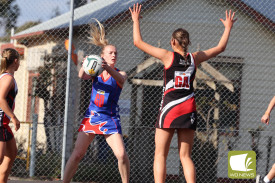 netball-35-1716958166.jpg