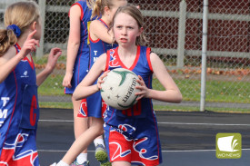 netball-35-1721189997.jpg