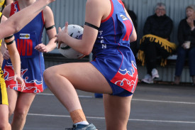 netball-37-1721190007.jpg