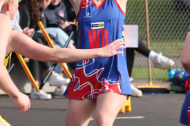 netball-39-1721190016.jpg