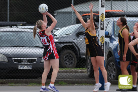 netball-4-1718082720.jpg