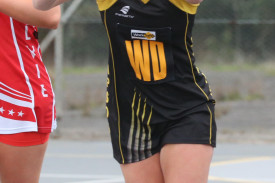 netball-42-1719286502.jpg