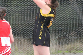 netball-46-1719286520.jpg