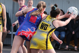 netball-46-1721190049.jpg