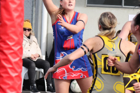 netball-49-1721190065.jpg