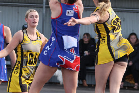 netball-52-1721190079.jpg