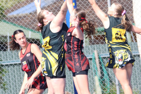 netball-6-1725416481.jpg