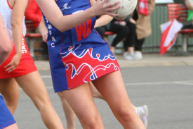 netball-60-1719978498.jpg