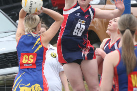 netball-64-1721273284.jpg