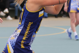 netball-9-1714528847.jpg