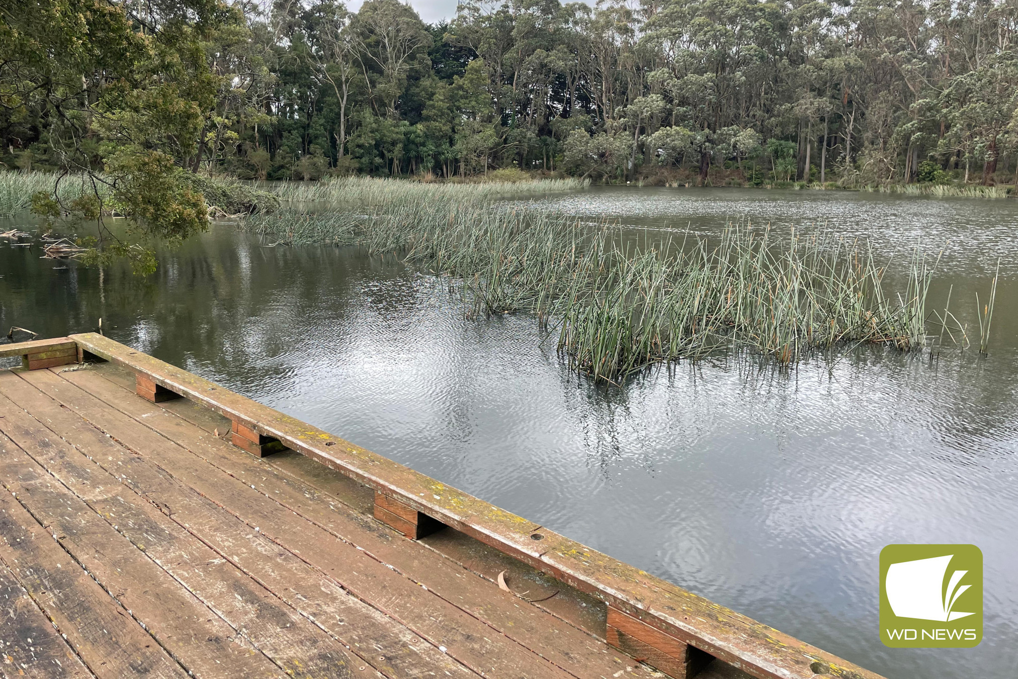 Water quality issues: The September school holiday fish release did not occur at Simpson or Cobden due to poor water quality. Cobden also missed out on the June release.