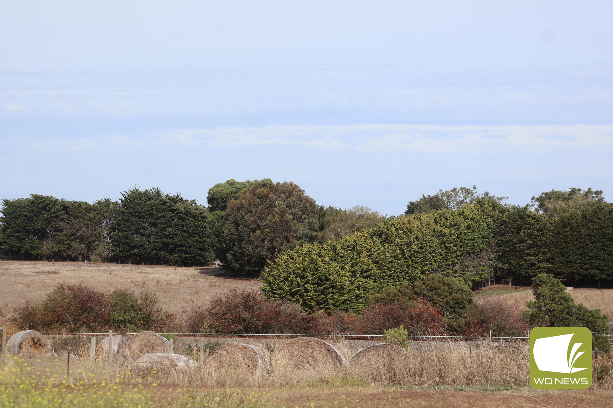 The rains arrive: The townships of Terang and Mortlake experienced rainfall results above the long-term monthly average in June, marking the first time in 2025 the monthly tally has surpassed the long-term average.